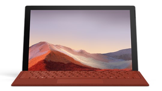 东方清洁和维护 Surface